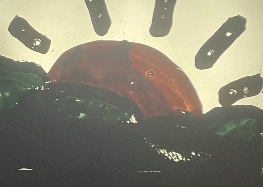 Course for young people: Projections of imaginary worlds