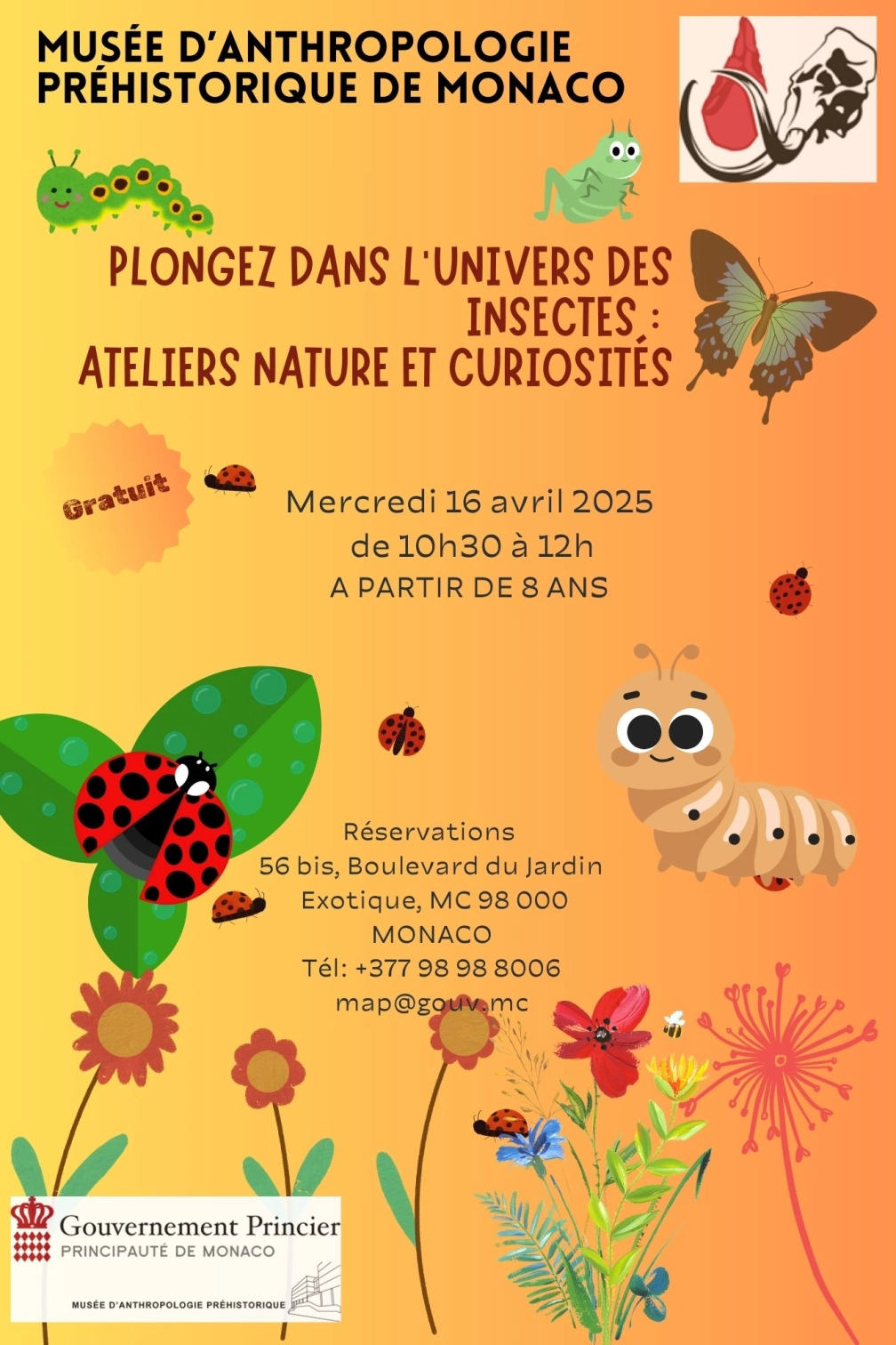 Atelier au MAP - Nature et curiosités