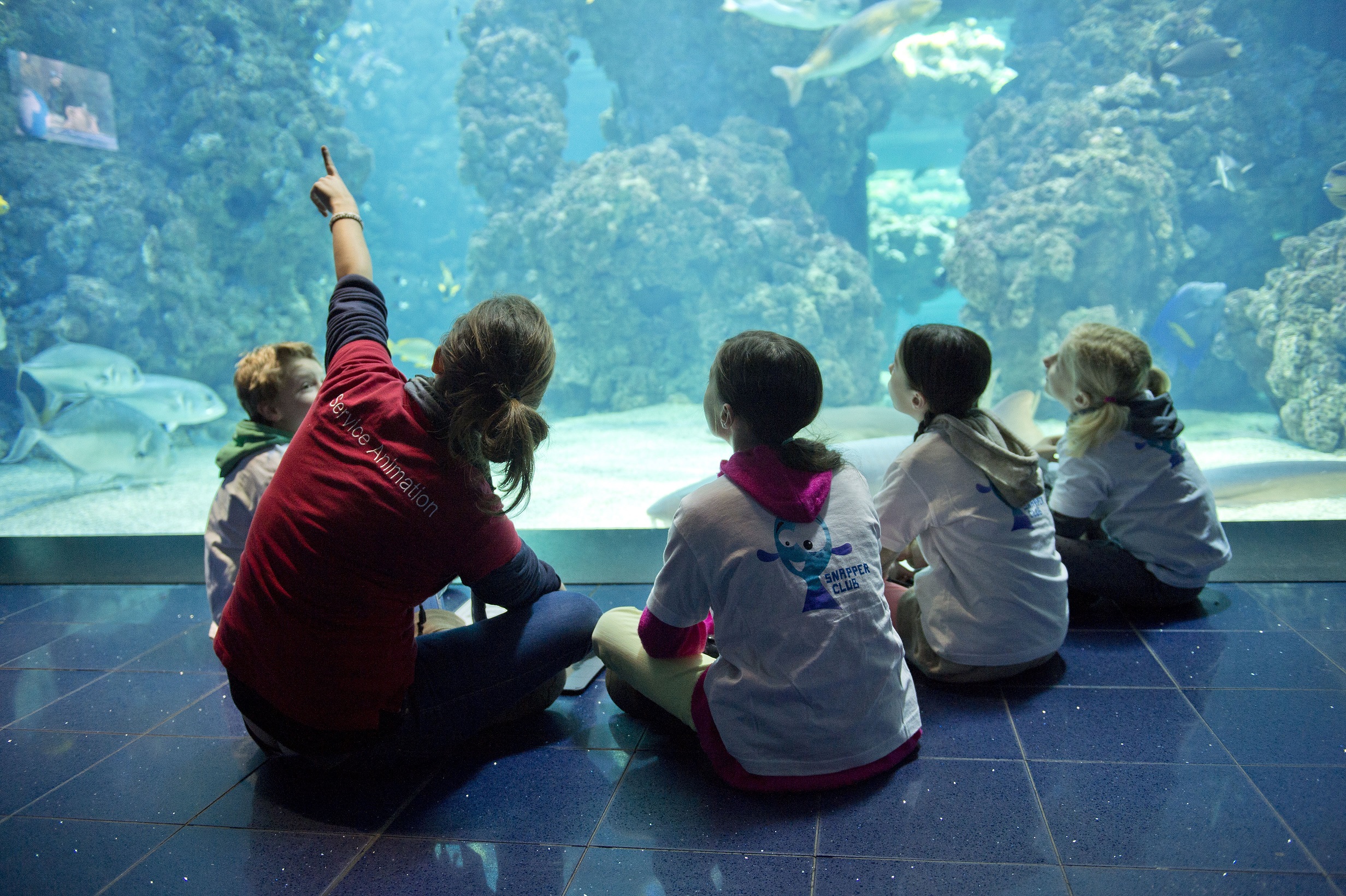 Club Oceano du Musée Océanographique
