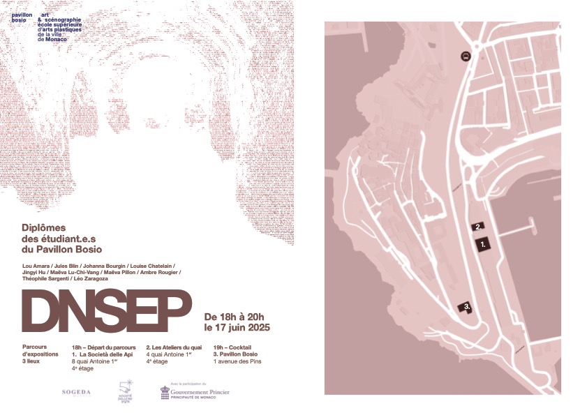 Parcours public d’expositions des DNSEP