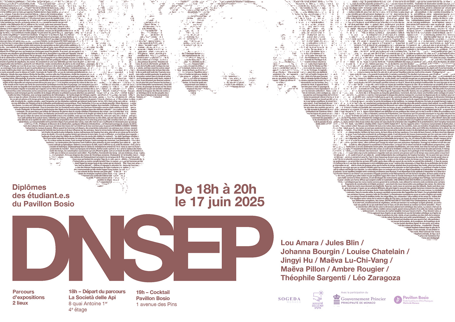 Parcours public d’expositions des DNSEP