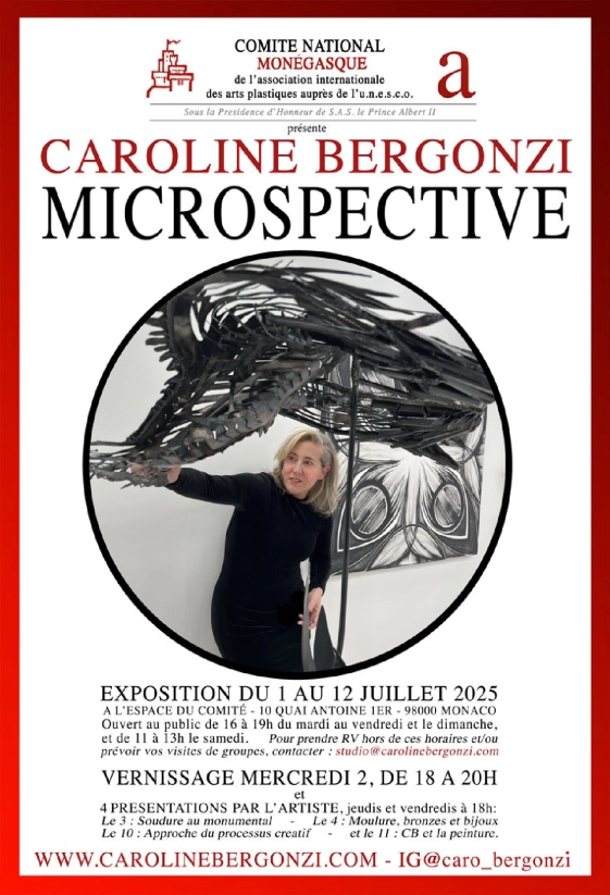 Exposition - Microperspective - Caroline Bergonzi