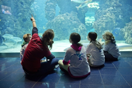 Club Oceano du Musée Océanographique