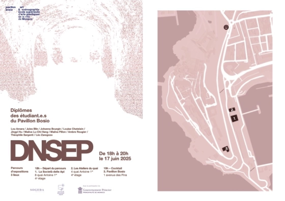 Parcours public d’expositions des DNSEP