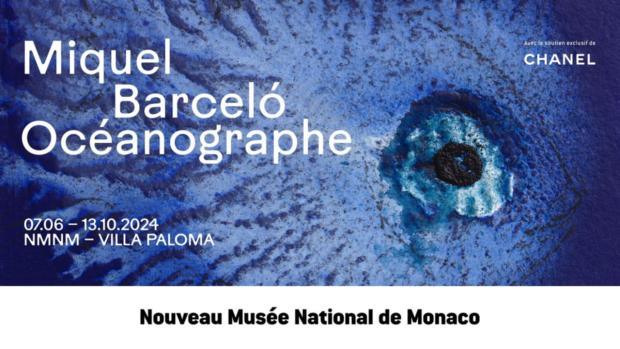 Teaser de l'exposition « Miquel Barcelo, océanographe » au NMNM - Villa Paloma