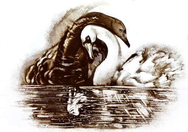 Concert Jeune Public - Le Lac des cygnes
