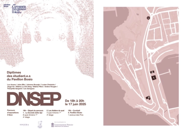 Parcours public d’expositions des DNSEP